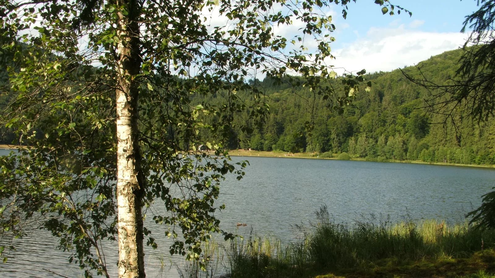 Lacul Sfânta Ana înconjurat de pădure în craterul Ciomadului