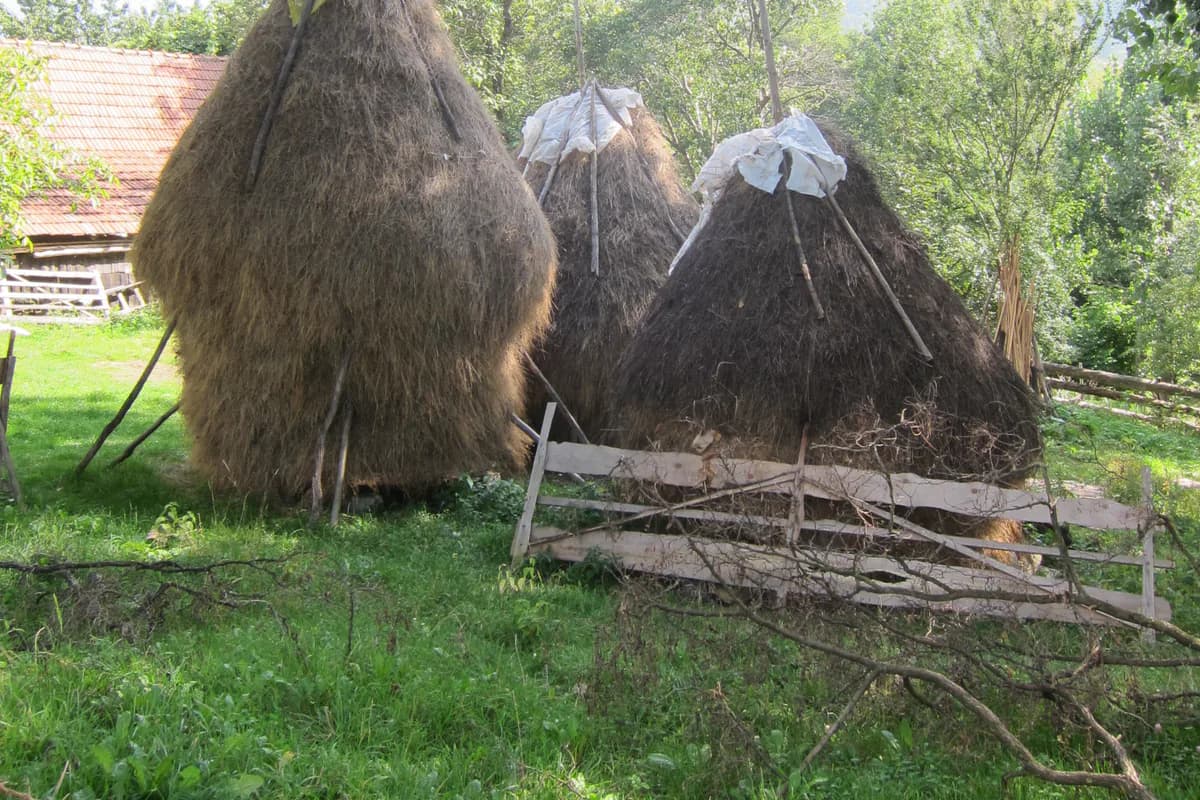 Căpițe de fân și garduri din lemn într-o gospodărie rurală din Predeluț