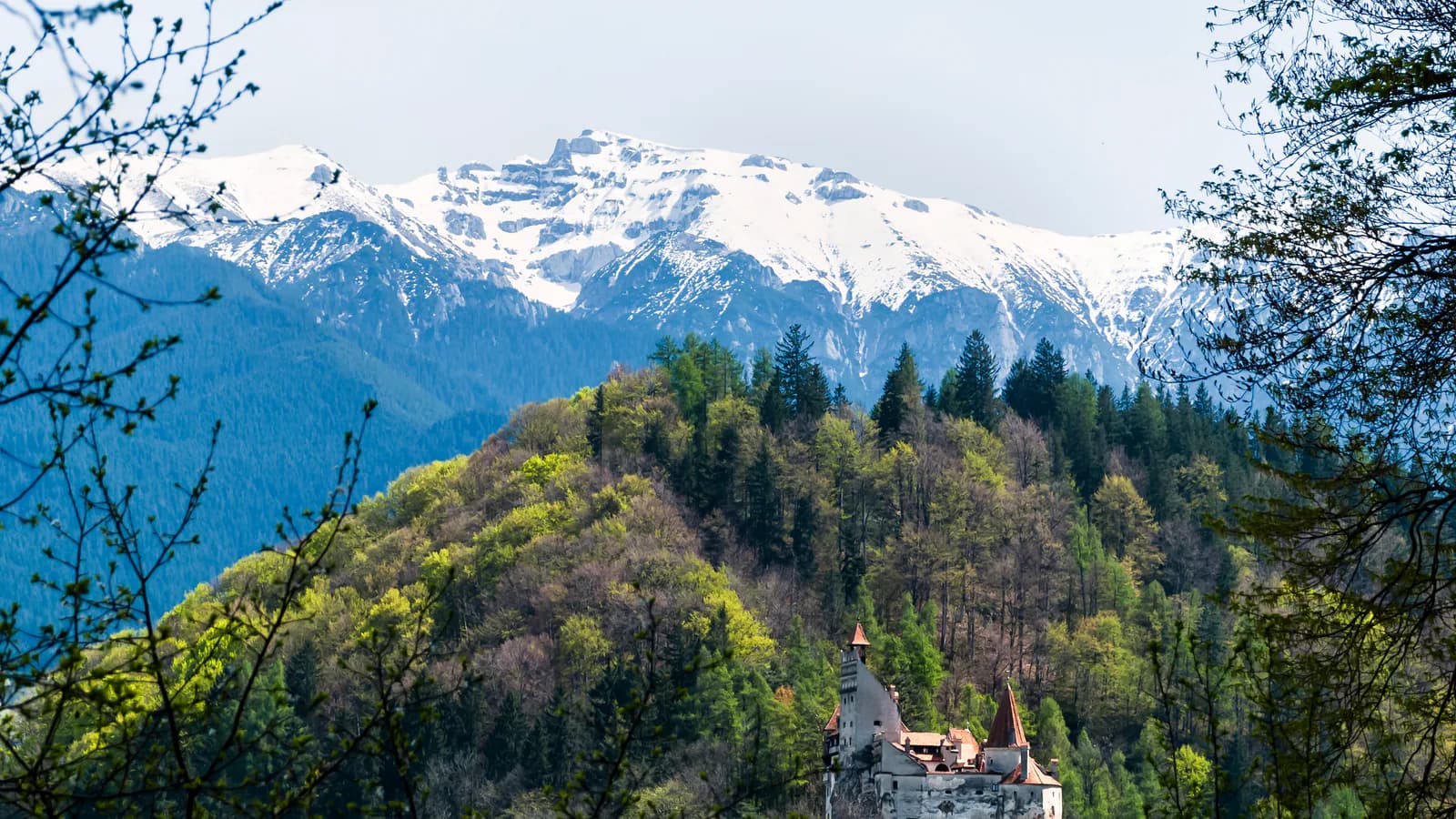 Castelul Bran între păduri, cu creasta înzăpezită a Munților Bucegi în fundal