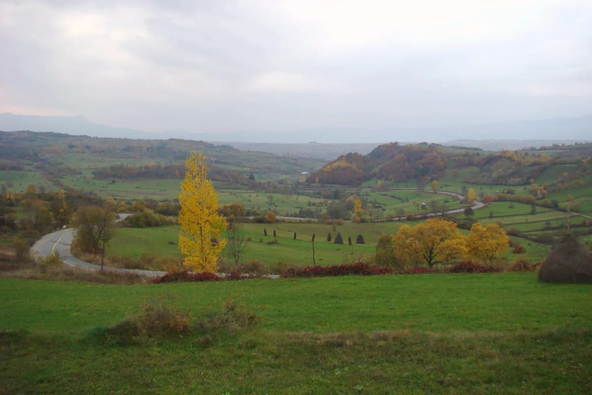 Depresiunea Ocna Șugatag