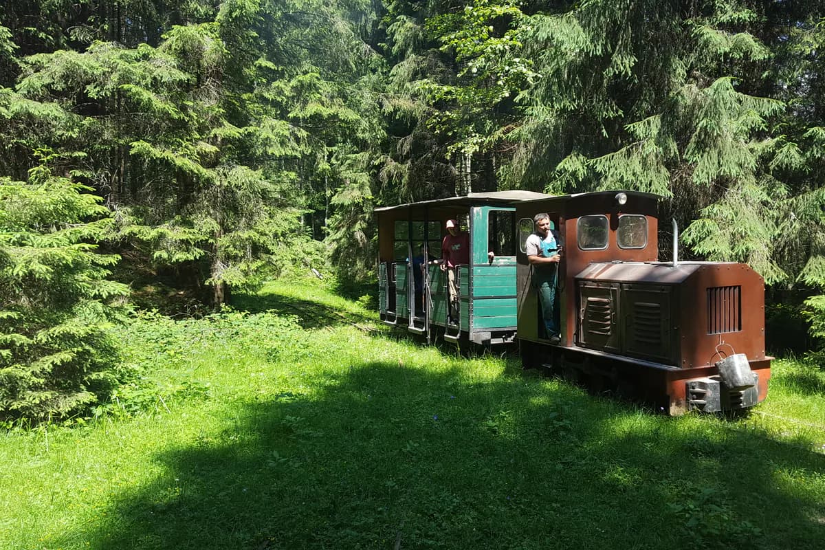 tren turistic pe calea îngustă din Comandău în 2018