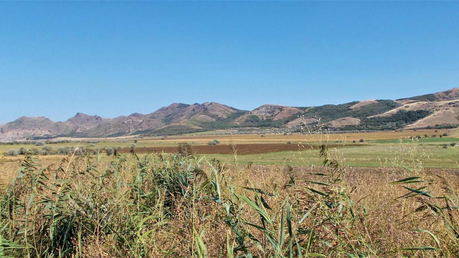 Panoramă largă a culmilor stâncoase din Munții Măcinului
