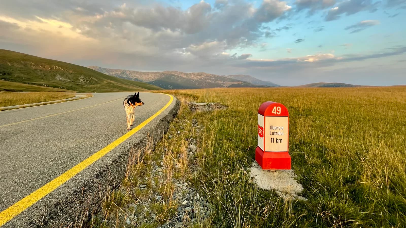Transalpina în zona Pasului Urdele