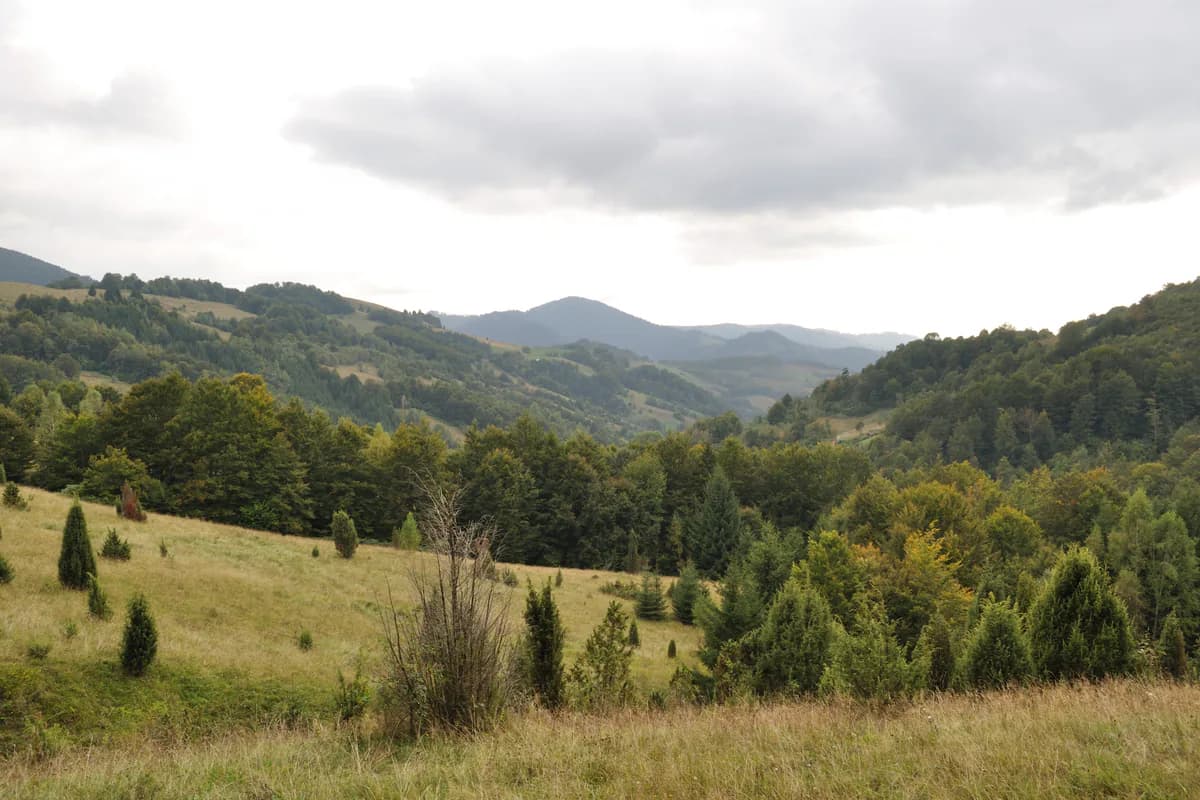 Bucium - peisaj rural