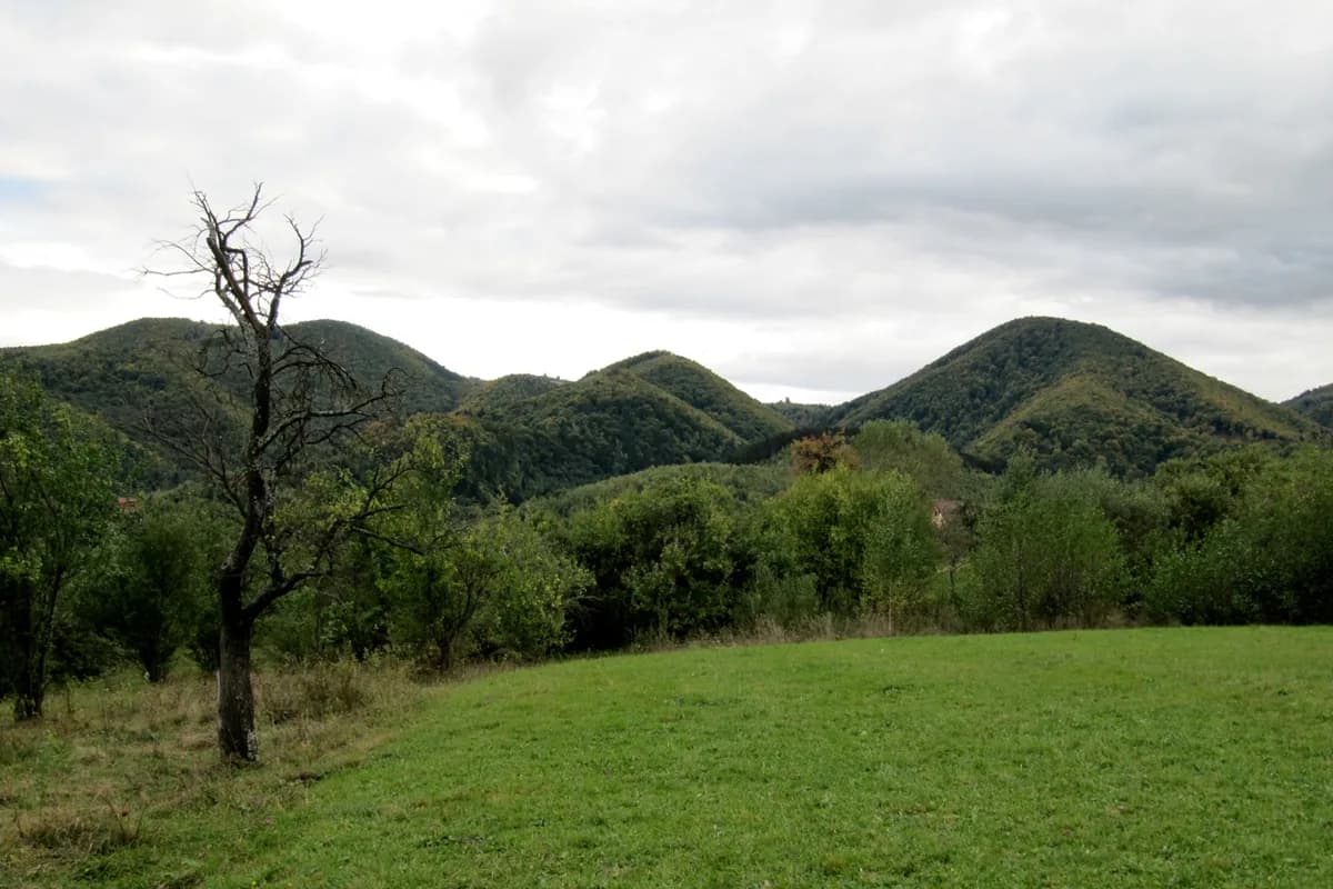Munții Cindrel