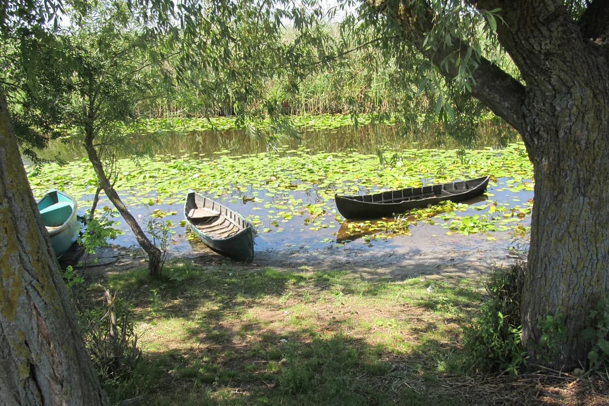 satul Letea, județul Tulcea