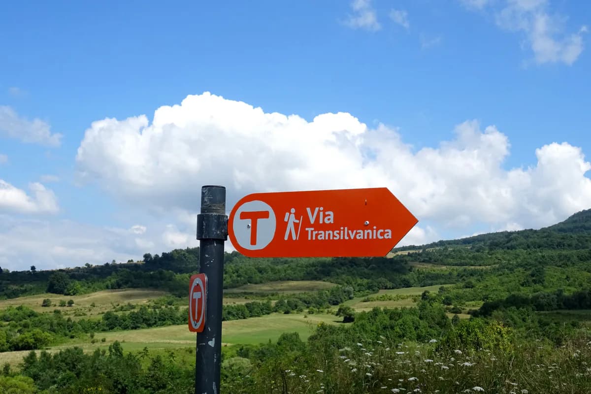 Marcaj Via Transilvanica fotografiat lângă Inlăceni, în județul Harghita