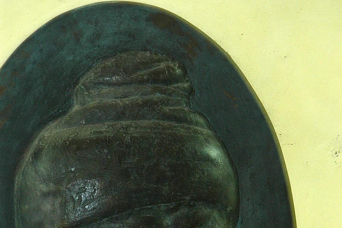 Sculptura modernă în stâncă reprezentând chipul regelui dac Decebal